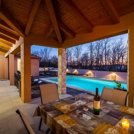 Starlight Gaze Villa Modrušani